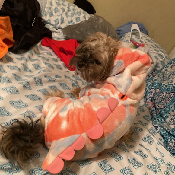 dog costume - Picture 3 of 4